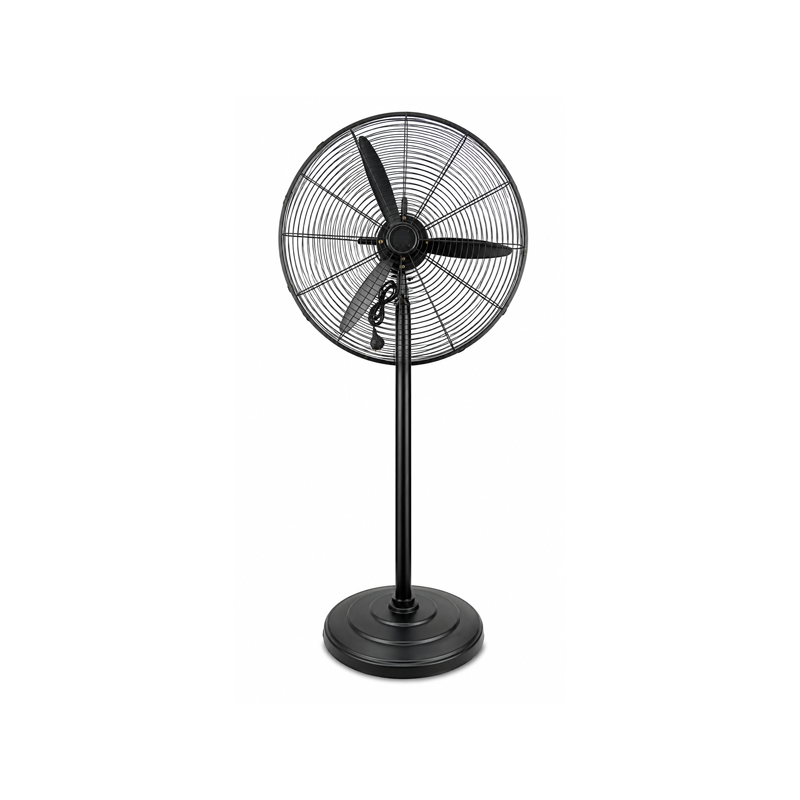 National Deluxe 20-Inch Industrial Stand Fan
